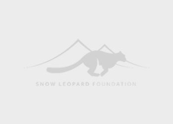 Snow Leopard Foundation achieved highest ranking in institutional evaluation