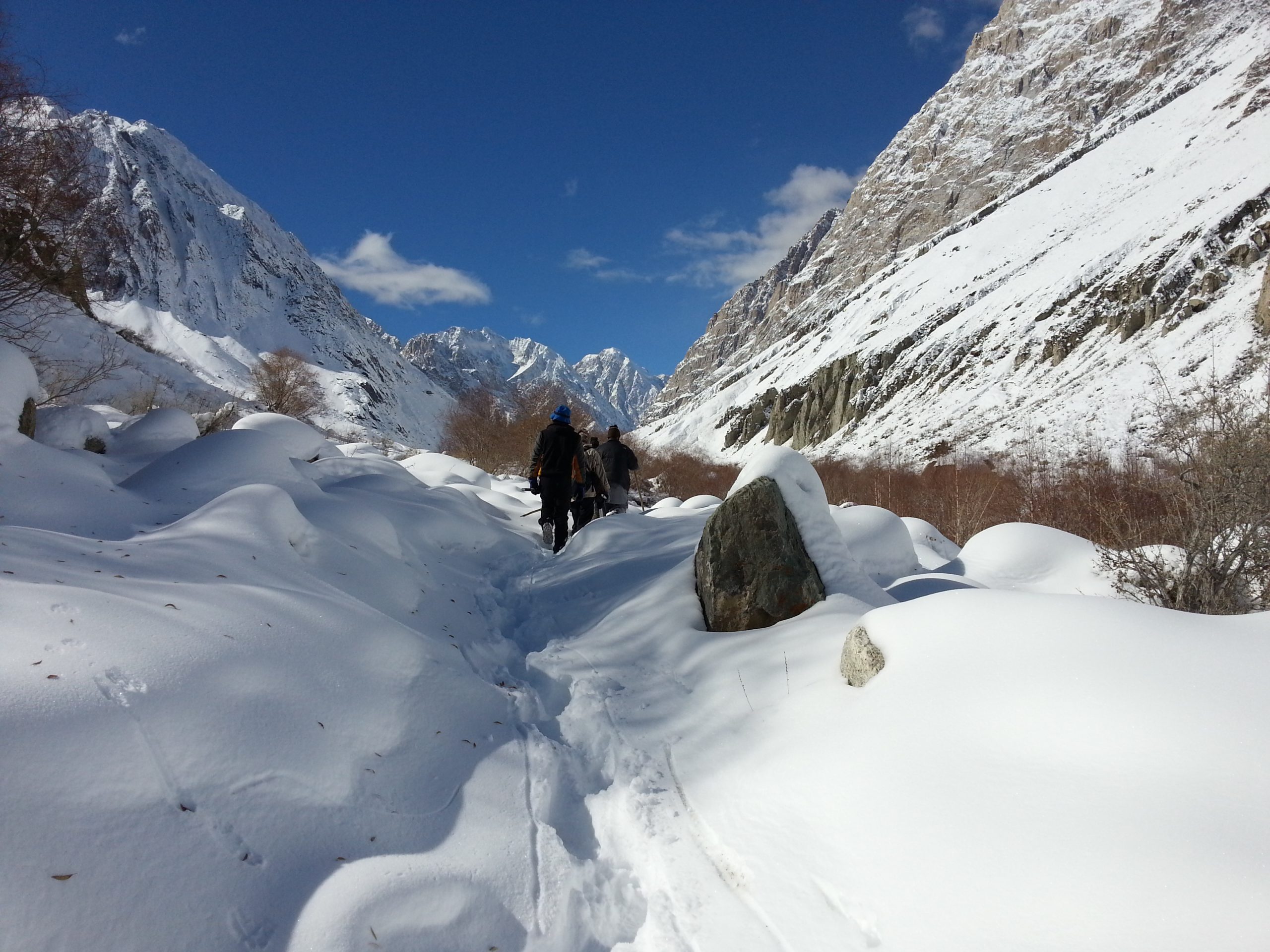 To the Terichmir in the footsteps of the Snow Leopard