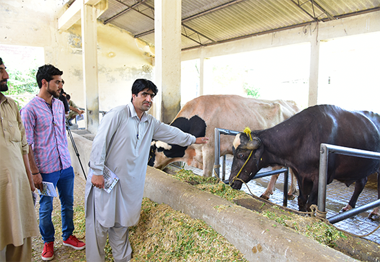 Training Ecosystem Health Workers