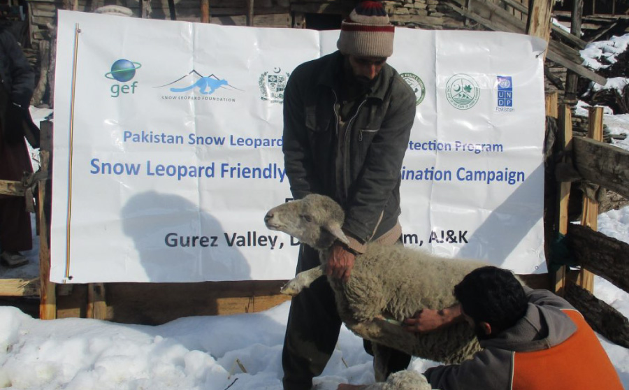 Snow Leopard Friendly Livestock Vaccination Program (SLFLVP) OR Ecosystem Health Program (EHP)