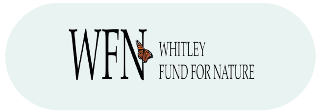 our partner wfn