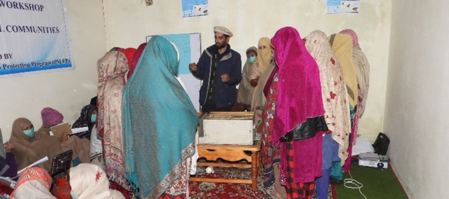 Women Empowerment Through Apiculture: A Success Story from the Snow Leopard Foundation