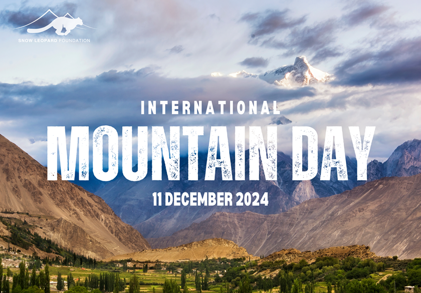 Snow Leopard Foundation Commemorates International Mountain Day 2024: Advocating for Sustainable Mountain Solutions