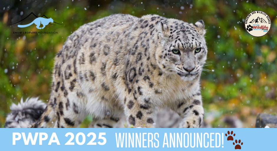 MoCC&EC & SLF Announce Awardees for Pakistan Wildlife Protection Awards 2025