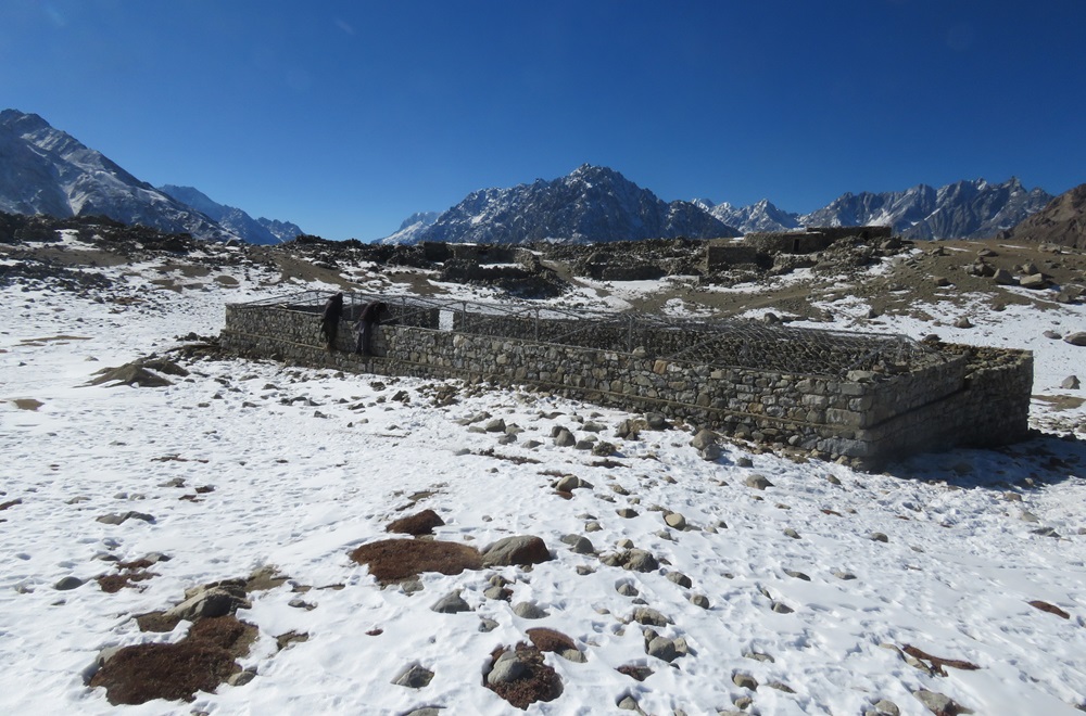 Predator-Proof Corrals Shield Livelihoods and Snow Leopards in Chitral
