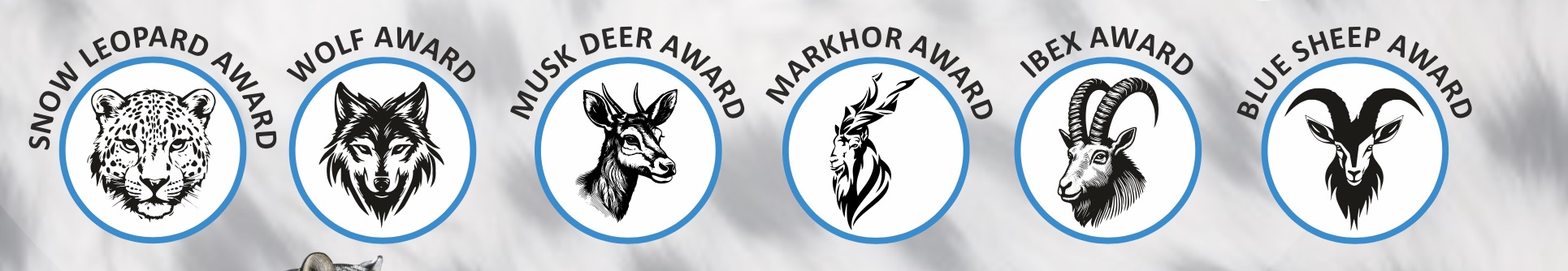 Pakistan Wildlife Protection Award Categories — Snow Leopard, Wolf, Musk Deer, Markhor, Ibex, Blue Sheep