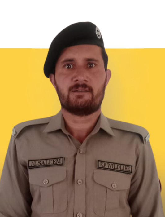 Muhammad Saleem